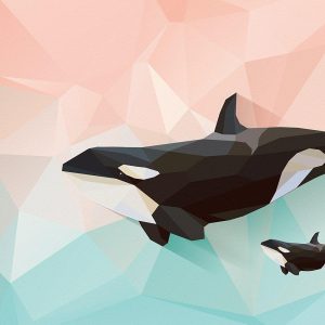 Furoshiki Stof Furoshiki Orka