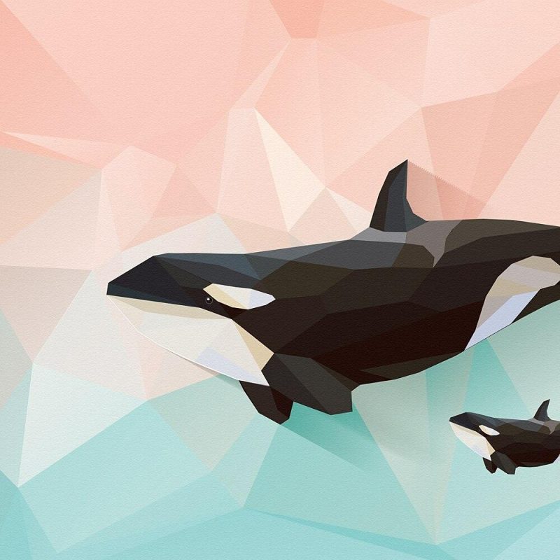 Furoshiki Stof Furoshiki Orka