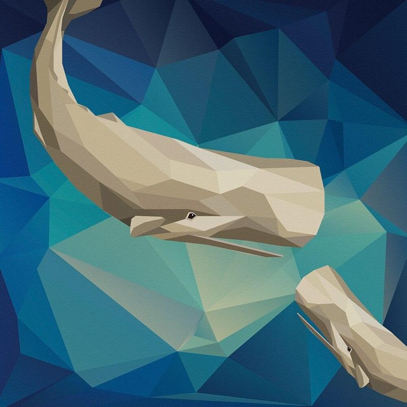 Furoshiki Stof Walvissen