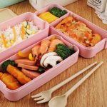 Japanse Bento Box Waterdicht