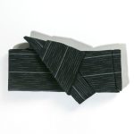 Japanse Donkere Riem