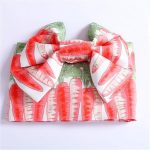 Japanse Obi-riem Ninjin