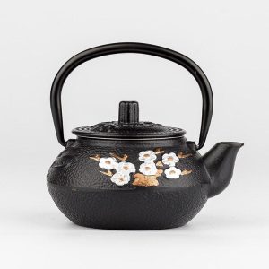 Japanse Theepot Ijzer - 300ml