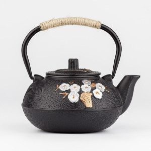 Japanse Theepot Ijzer - 800ml