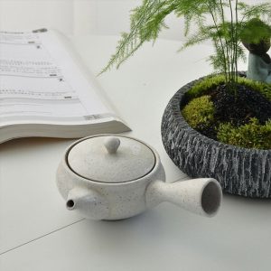 Japanse Theepot Keramiek - Wit